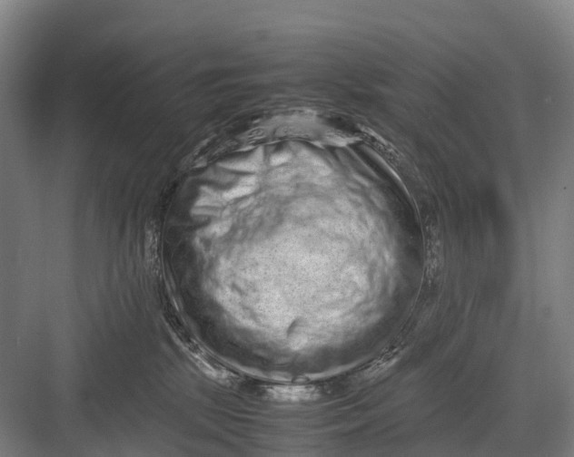 X0000082720281200702161849