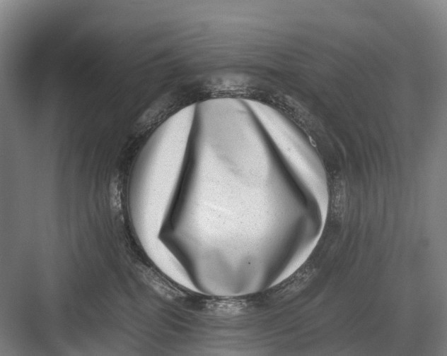 X0000082720282200702161849