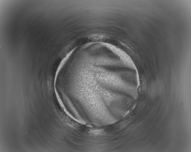 X0000082720283200702161849