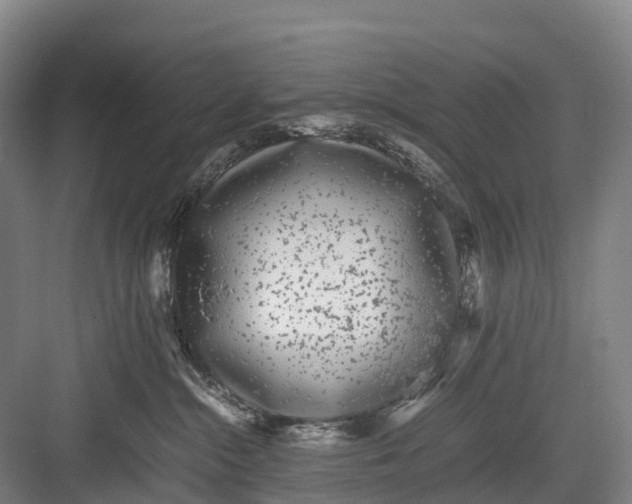 X0000082720284200702161849