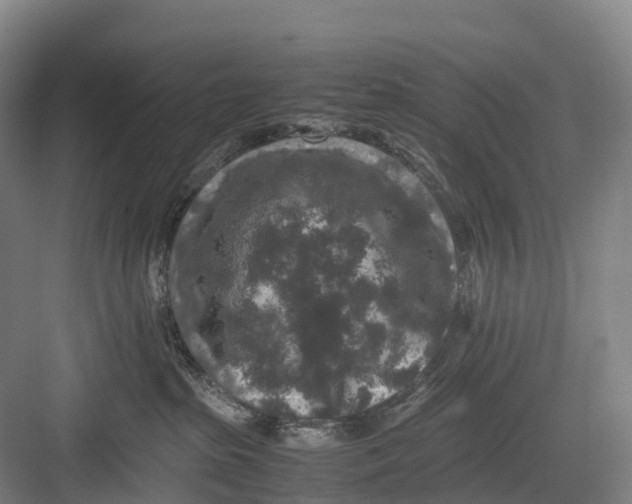 X0000082720285200702161849