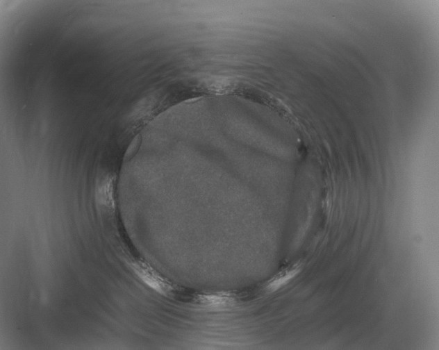 X0000082720286200702161849