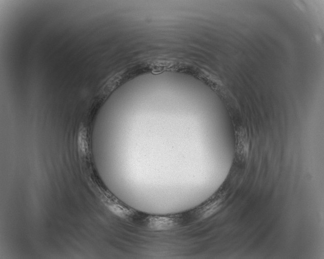 X0000082720287200702161849