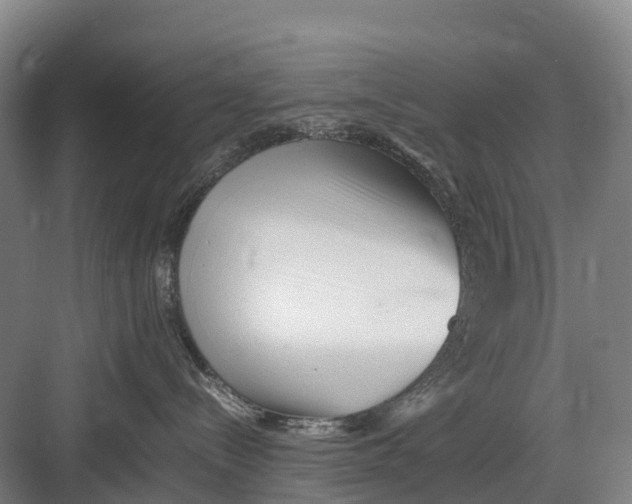 X0000082720288200702161849