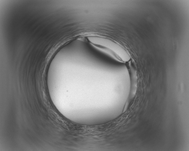 X0000082720289200702161848