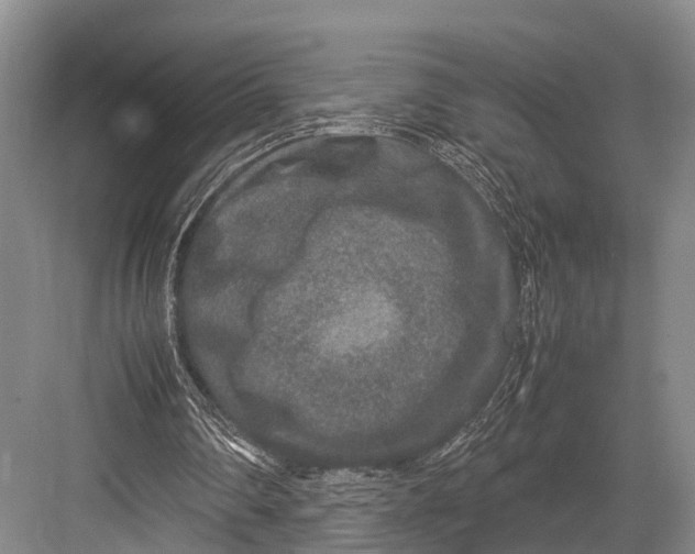 X0000082720290200702161848