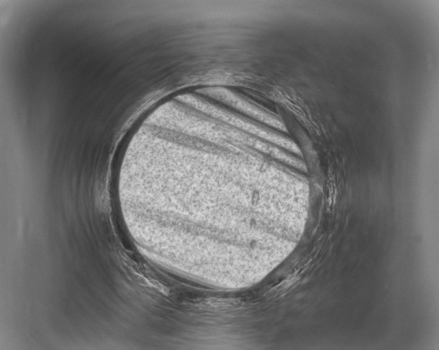 X0000082720292200702161848