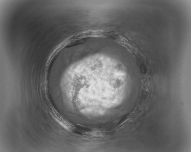 X0000082720293200702161848