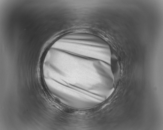 X0000082720294200702161848