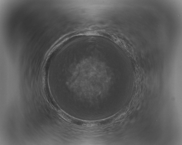 X0000082720295200702161848