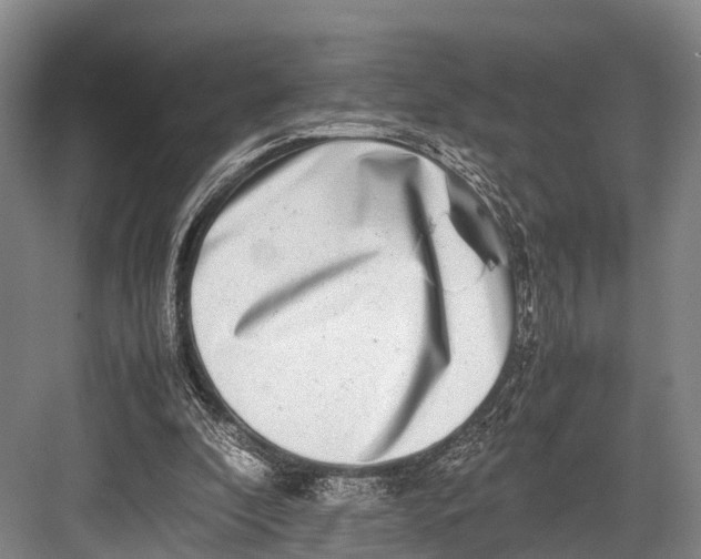 X0000082720296200702161848