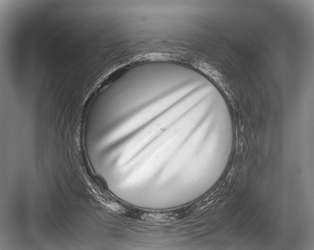 X0000082720297200702161848