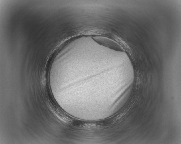 X0000082720298200702161848