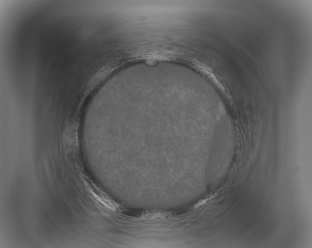 X0000082720299200702161848