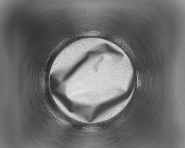 X0000082720300200702161848