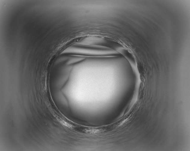 X0000082720301200702161848