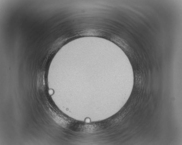 X0000082720302200702161848