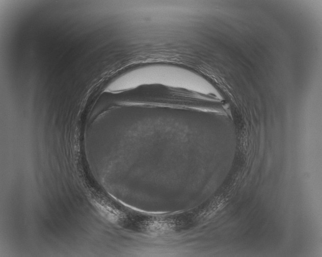 X0000082720303200702161848