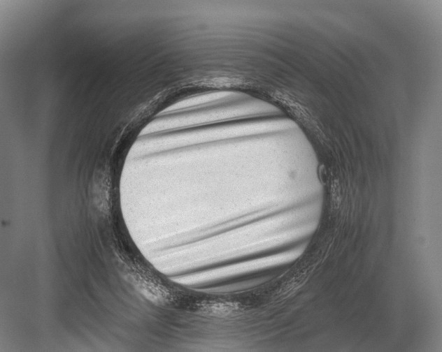 X0000082720304200702161848