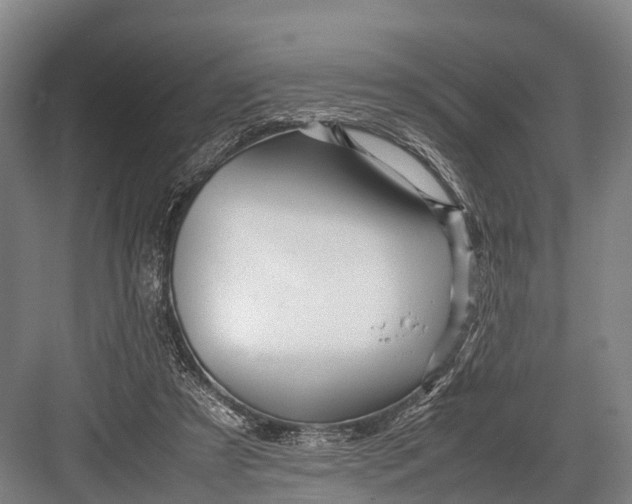 X0000082720305200702161848