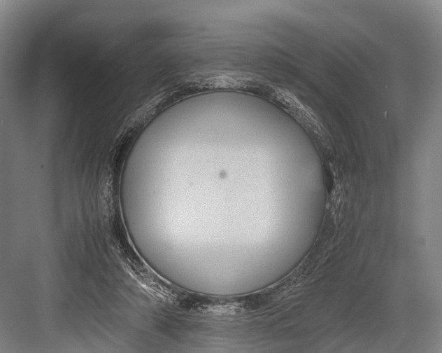 X0000082720306200702161848