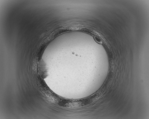 X0000082720307200702161848