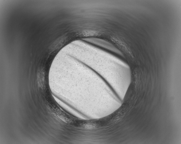 X0000082720308200702161848