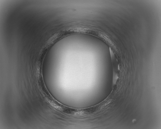 X0000082720309200702161848