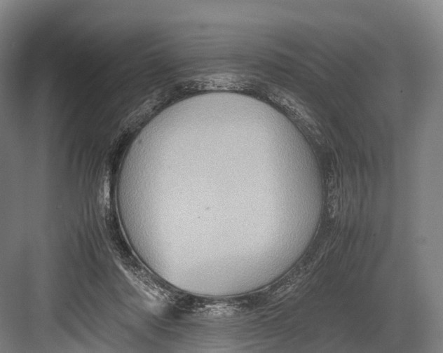 X0000082720310200702161848