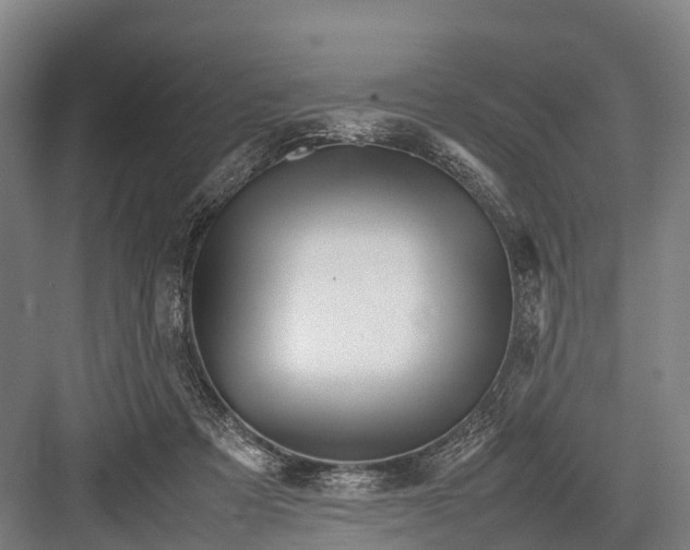 X0000082720313200702161848