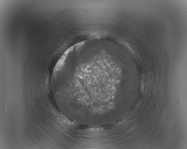 X0000082720314200702161848