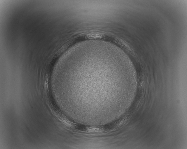 X0000082720315200702161848