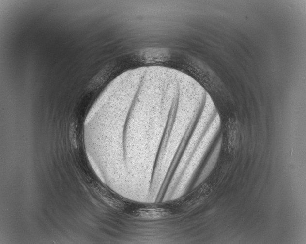 X0000082720316200702161848