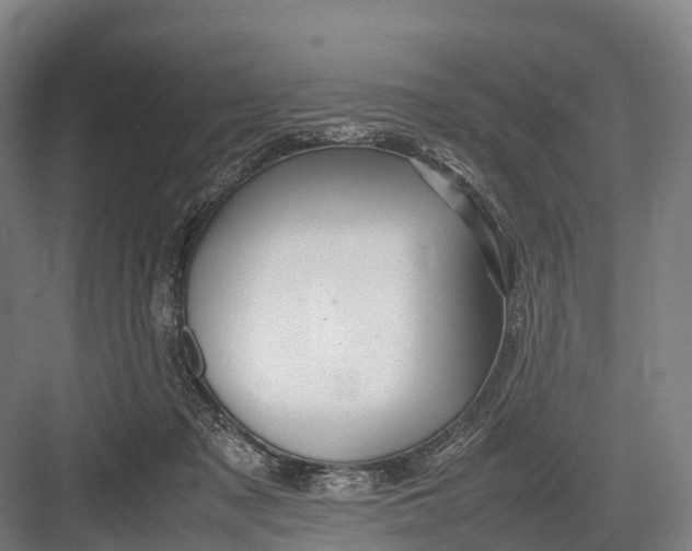 X0000082720317200702161848