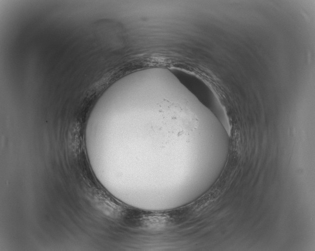 X0000082720318200702161848