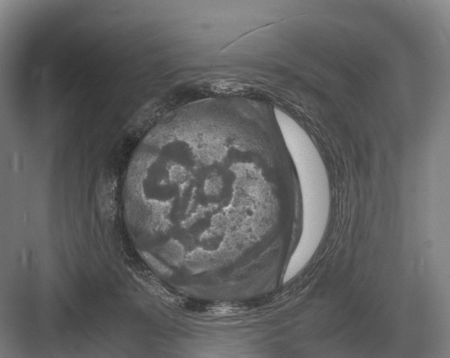 X0000082720319200702161848