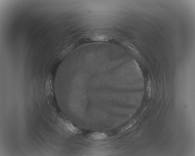 X0000082720322200702161848