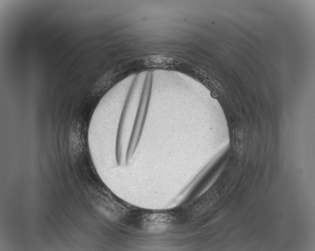 X0000082720324200702161848