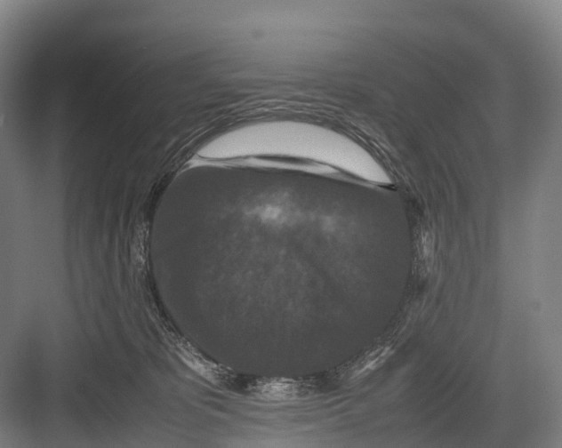 X0000082720325200702161848