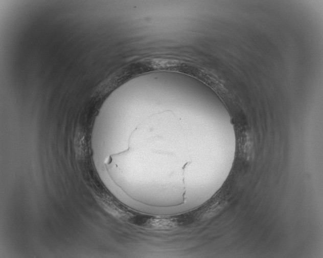 X0000082720327200702161848