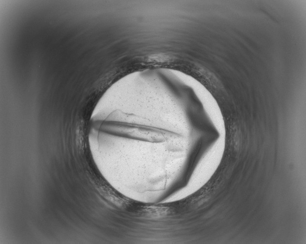 X0000082720328200702161848