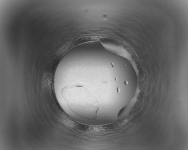 X0000082720329200702161848