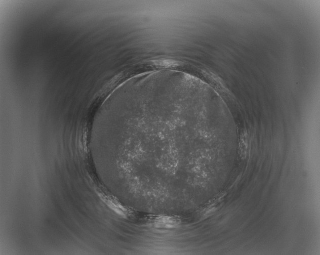 X0000082720330200702161848