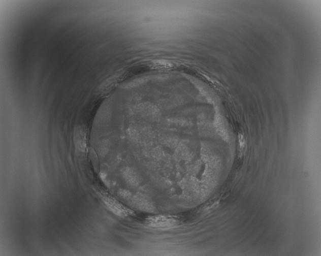 X0000082720331200702161848