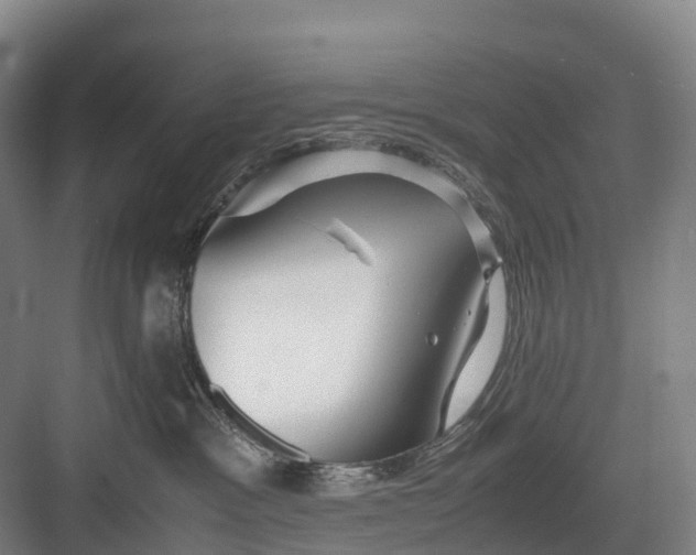 X0000082720333200702161848