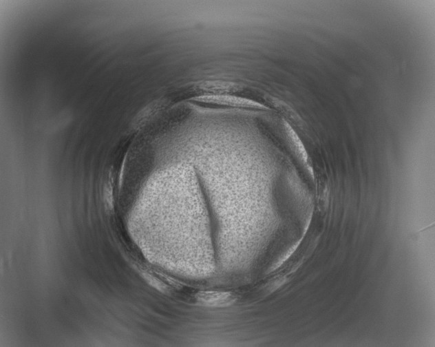 X0000082720334200702161848