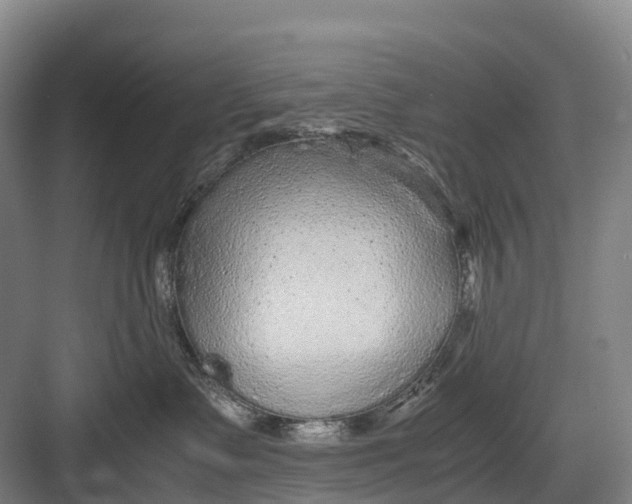 X0000082720335200702161848