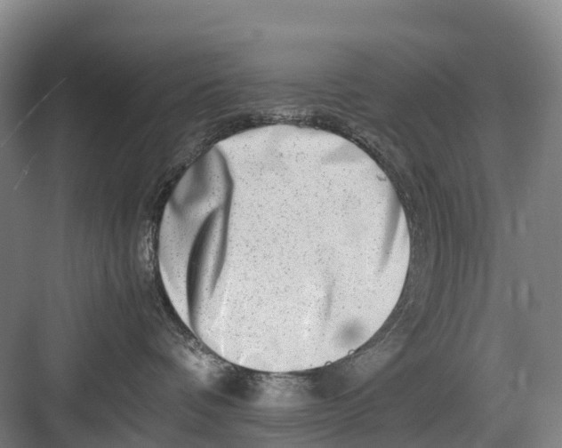 X0000082720336200702161848