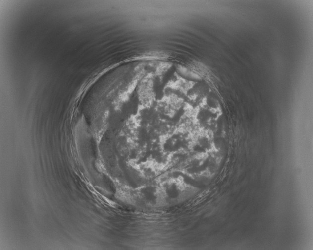 X0000082720337200702161847