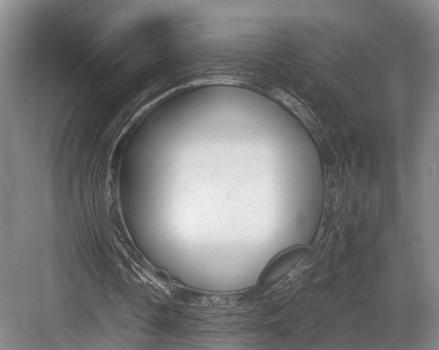 X0000082720338200702161847